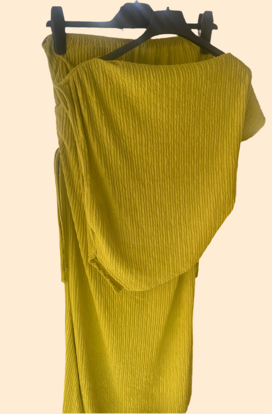 Mustard long skirt and top